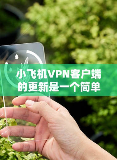 小飞机VPN客户端的更新是一个简单的过程,以下是详细的步骤指南 小飞机VPN客户端的更新是一个简单的过程,以下是详细的步骤指南