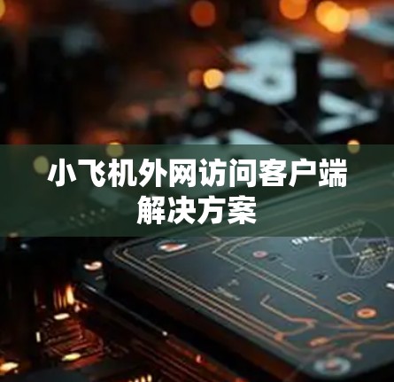 小飞机外网访问客户端解决方案 小飞机外网访问客户端解决方案