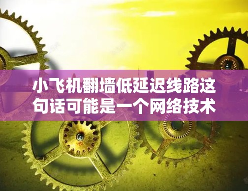 小飞机翻墙低延迟线路这句话可能是一个网络技术或设备的描述,具体含义需要结合上下文来理解。以下是一些可能的解释和步骤 小飞机翻墙低延迟线路这句话可能是一个网络技术或设备的描述,具体含义需要结合上下文来理解。以下是一些可能的解释和步骤