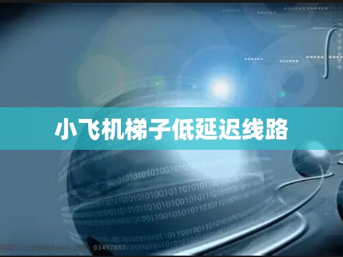 小飞机梯子低延迟线路 小飞机梯子低延迟线路