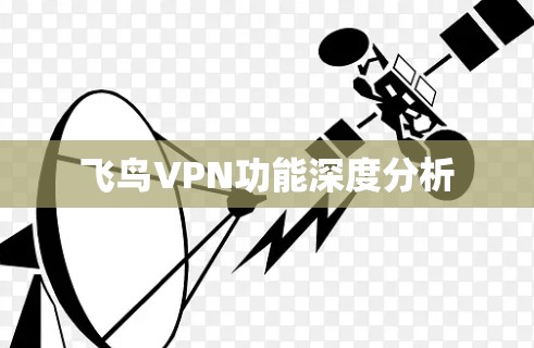 飞鸟VPN功能深度分析 飞鸟VPN功能深度分析