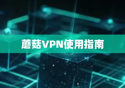 蘑菇VPN使用指南 蘑菇VPN使用指南