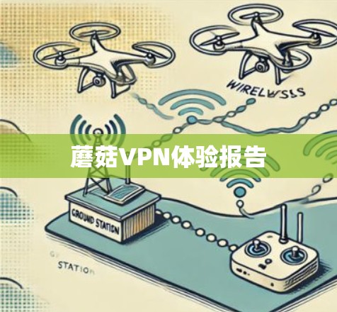蘑菇VPN体验报告 蘑菇VPN体验报告