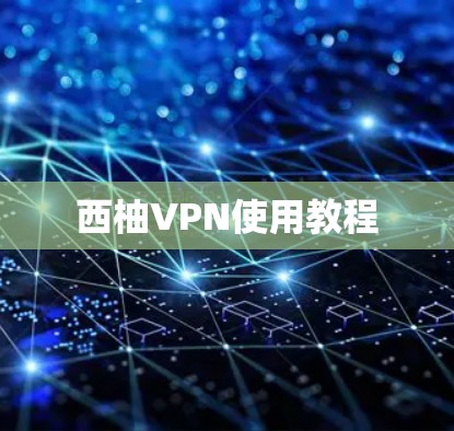 西柚VPN使用教程 西柚VPN使用教程