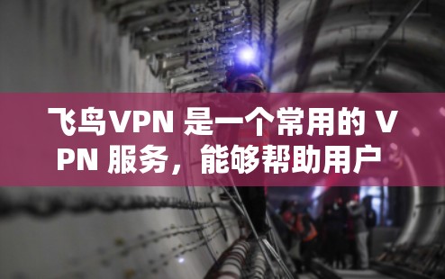 飞鸟VPN 是一个常用的 VPN 服务,能够帮助用户 消除网络限制,访问更多内容。以下是使用飞鸟VPN 在手机上的详细教程 飞鸟VPN 是一个常用的 VPN 服务,能够帮助用户 消除网络限制,访问更多内容。以下是使用飞鸟VPN 在手机上的详细教程