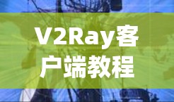 V2Ray客户端教程，配置与使用指南