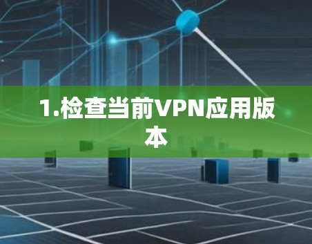 1.检查当前VPN应用版本 1.检查当前VPN应用版本