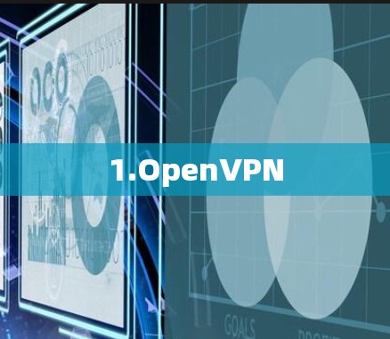 1.OpenVPN 1.OpenVPN