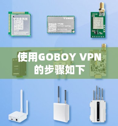 使用GOBOY VPN的步骤如下 使用GOBOY VPN的步骤如下
