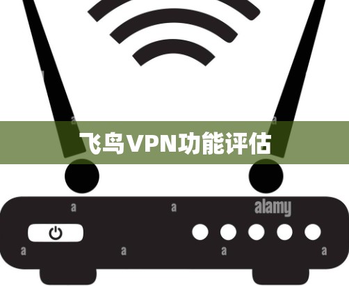 飞鸟VPN功能评估 飞鸟VPN功能评估