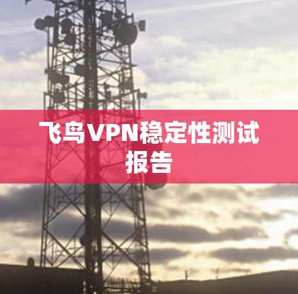 飞鸟VPN稳定性测试报告 飞鸟VPN稳定性测试报告