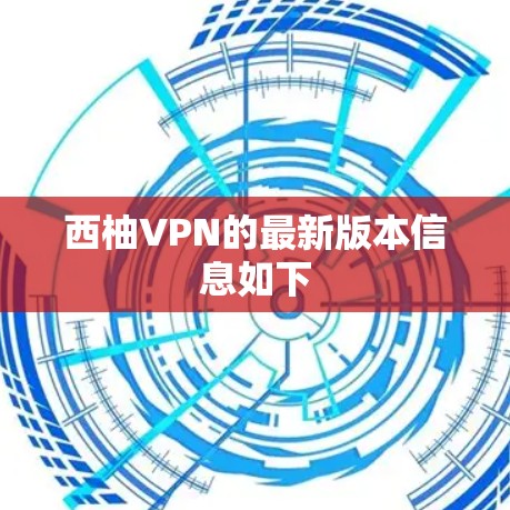 西柚VPN的最新版本信息如下 西柚VPN的最新版本信息如下