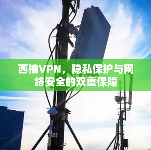 西柚VPN，隐私保护与网络安全的双重保障