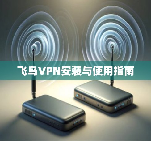 飞鸟VPN安装与使用指南 飞鸟VPN安装与使用指南