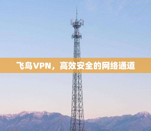 飞鸟VPN,高效安全的网络通道 飞鸟VPN,高效安全的网络通道