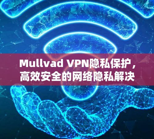 Mullvad VPN隐私保护,高效安全的网络隐私解决方案 Mullvad VPN隐私保护,高效安全的网络隐私解决方案