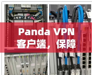 Panda VPN客户端,保障网络安全的无懈可击解决方案 Panda VPN客户端,保障网络安全的无懈可击解决方案