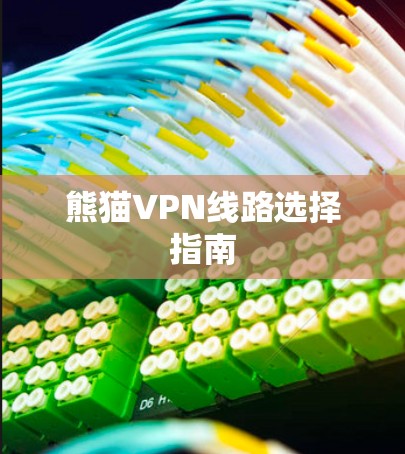 熊猫VPN线路选择指南 熊猫VPN线路选择指南