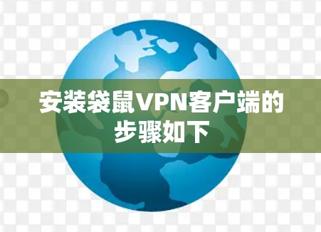 安装袋鼠VPN客户端的步骤如下 安装袋鼠VPN客户端的步骤如下