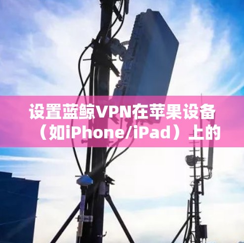 设置蓝鲸VPN在苹果设备(如iPhone/iPad)上的步骤如下 设置蓝鲸VPN在苹果设备(如iPhone/iPad)上的步骤如下