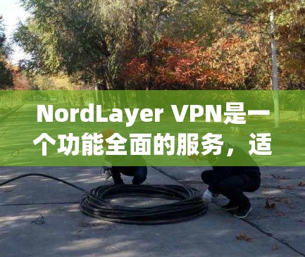 NordLayer VPN是一个功能全面的服务,适合需要多设备、多服务器连接且注重安全和隐私的用户。以下是对NordLayer VPN的详细评测 NordLayer VPN是一个功能全面的服务,适合需要多设备、多服务器连接且注重安全和隐私的用户。以下是对NordLayer VPN的详细评测