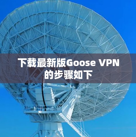 下载最新版Goose VPN的步骤如下 下载最新版Goose VPN的步骤如下
