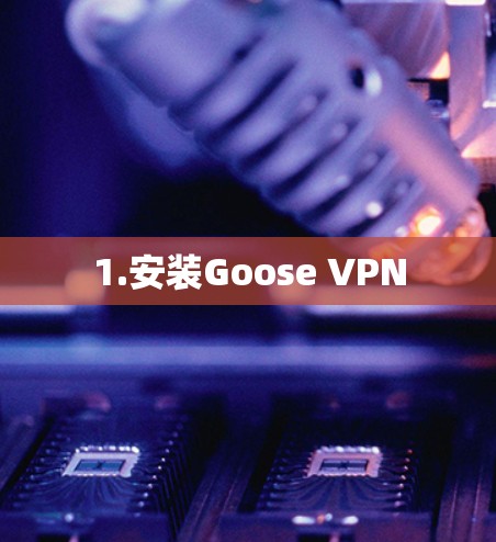 1.安装Goose VPN 1.安装Goose VPN