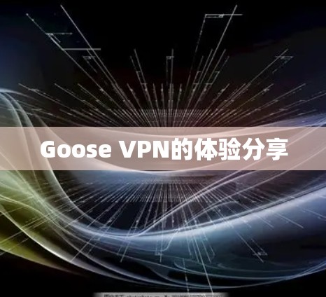 Goose VPN的体验分享 Goose VPN的体验分享
