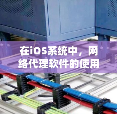 在iOS系统中，网络代理软件的使用受到苹果的严格限制，因为iOS对网络流量的管理非常严格，尤其是与企业和机构相关的网络代理功能。以下是一些相关信息和建议