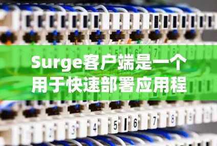 Surge客户端是一个用于快速部署应用程序的工具,它提供了用户友好的命令行界面,可以直接从本地文件夹部署到云端。以下是更新Surge客户端的步骤 Surge客户端是一个用于快速部署应用程序的工具,它提供了用户友好的命令行界面,可以直接从本地文件夹部署到云端。以下是更新Surge客户端的步骤