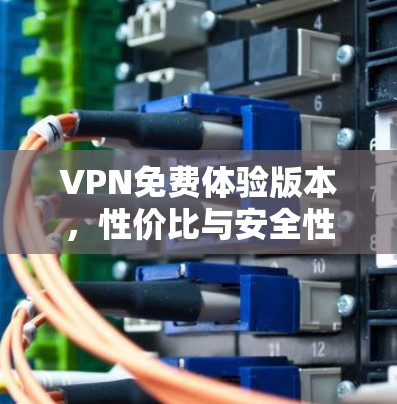 VPN免费体验版本,性价比与安全性分析 VPN免费体验版本,性价比与安全性分析
