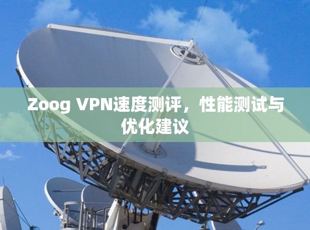 Zoog VPN速度测评,性能测试与优化建议 Zoog VPN速度测评,性能测试与优化建议