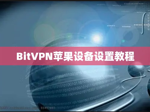 BitVPN苹果设备设置教程 BitVPN苹果设备设置教程