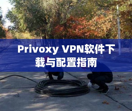 Privoxy VPN软件下载与配置指南 Privoxy VPN软件下载与配置指南