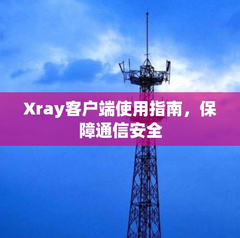 Xray客户端使用指南,保障通信安全 Xray客户端使用指南,保障通信安全