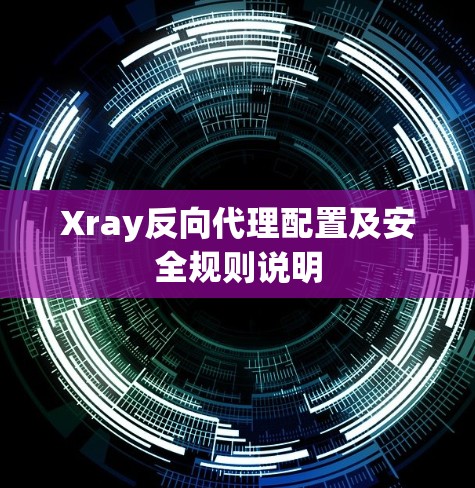 Xray反向代理配置及安全规则说明 Xray反向代理配置及安全规则说明