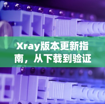 Xray版本更新指南,从下载到验证的完整步骤 Xray版本更新指南,从下载到验证的完整步骤