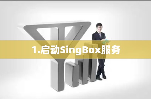 1.启动SingBox服务 1.启动SingBox服务