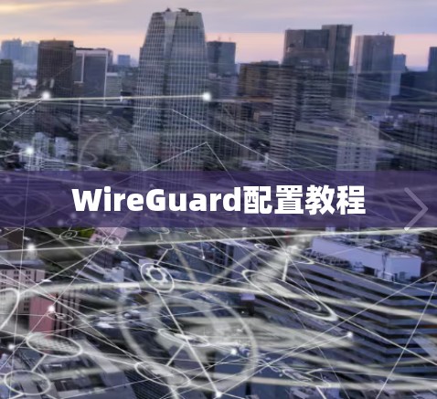 WireGuard配置教程 WireGuard配置教程