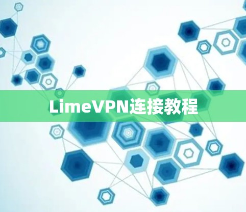 LimeVPN连接教程