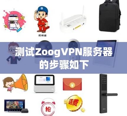 测试ZoogVPN服务器的步骤如下