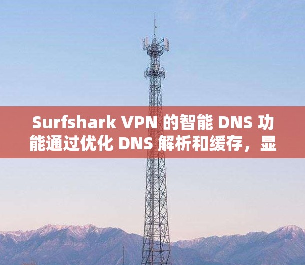 Surfshark VPN 的智能 DNS 功能通过优化 DNS 解析和缓存,显著提升了网络访问速度和效率。以下是对该功能的详细分析 Surfshark VPN 的智能 DNS 功能通过优化 DNS 解析和缓存,显著提升了网络访问速度和效率。以下是对该功能的详细分析