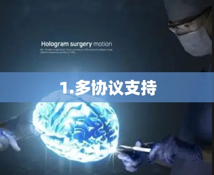 1.多协议支持 1.多协议支持