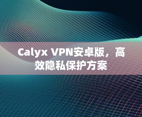 Calyx VPN安卓版，高效隐私保护方案