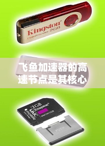 飞鱼加速器的高速节点是其核心设计之一,旨在实现高效、快速的粒子加速。以下是对飞鱼加速器高速节点的详细分析 飞鱼加速器的高速节点是其核心设计之一,旨在实现高效、快速的粒子加速。以下是对飞鱼加速器高速节点的详细分析