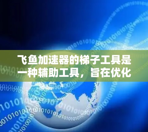 飞鱼加速器的梯子工具是一种辅助工具，旨在优化和管理加速器性能，以提高处理任务的效率。以下是对梯子工具的详细分析和总结