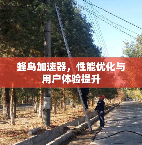 蜂鸟加速器,性能优化与用户体验提升 蜂鸟加速器,性能优化与用户体验提升