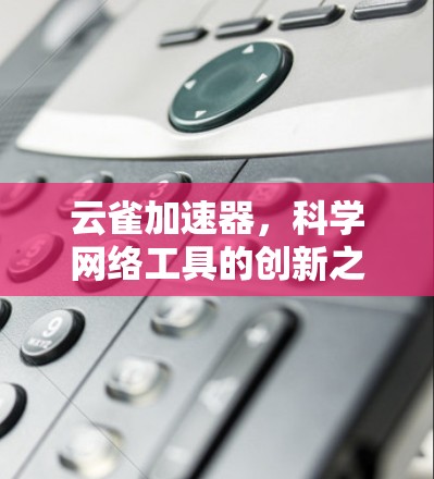 云雀加速器,科学网络工具的创新之道 云雀加速器,科学网络工具的创新之道