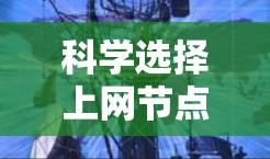 科学选择上网节点,技术与经济的平衡 科学选择上网节点,技术与经济的平衡