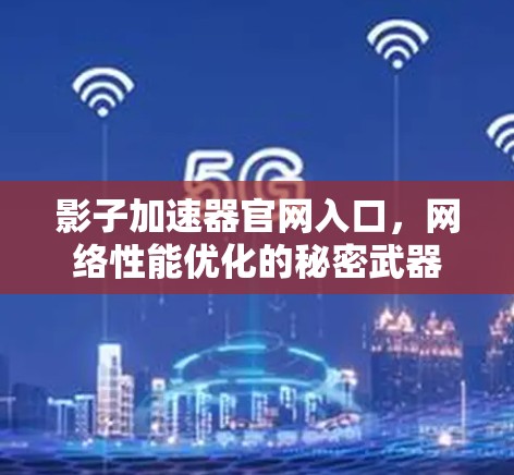 影子加速器官网入口,网络性能优化的秘密武器 影子加速器官网入口,网络性能优化的秘密武器